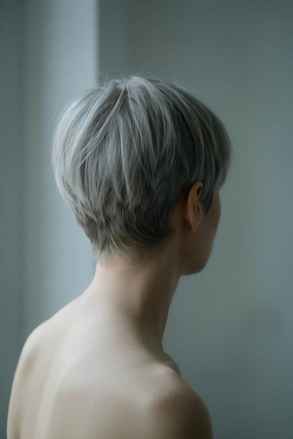 A woman's short textured haircut from behind and the side, silver tones catching soft window light
