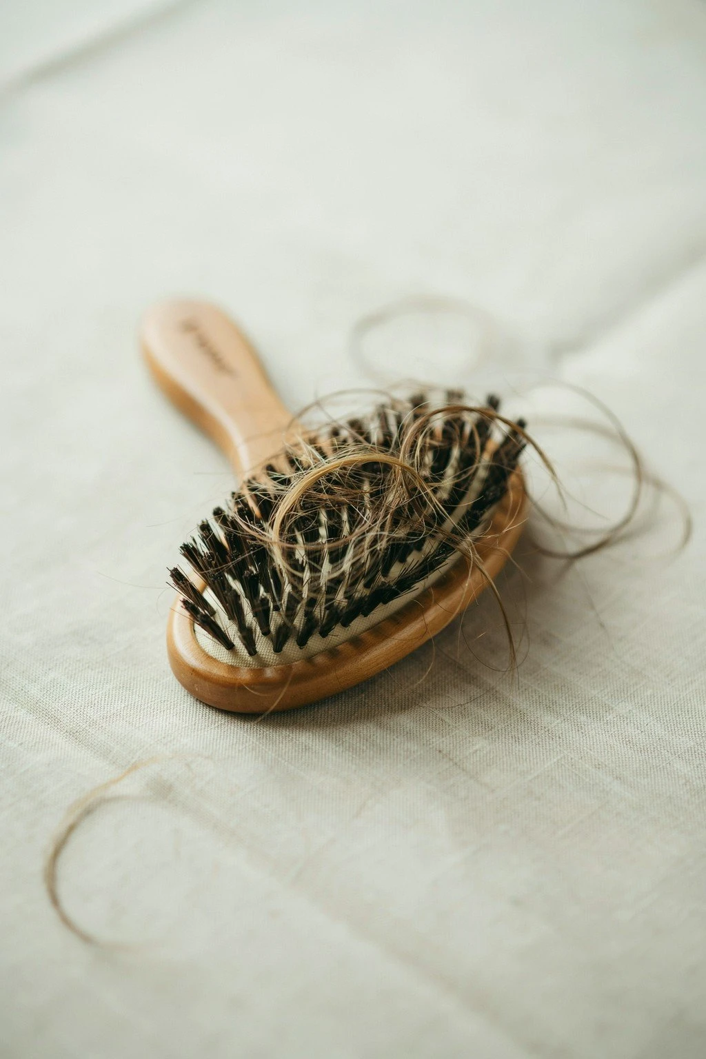 Close-up of a hairbrush with a noticeable amount of collected hair strands