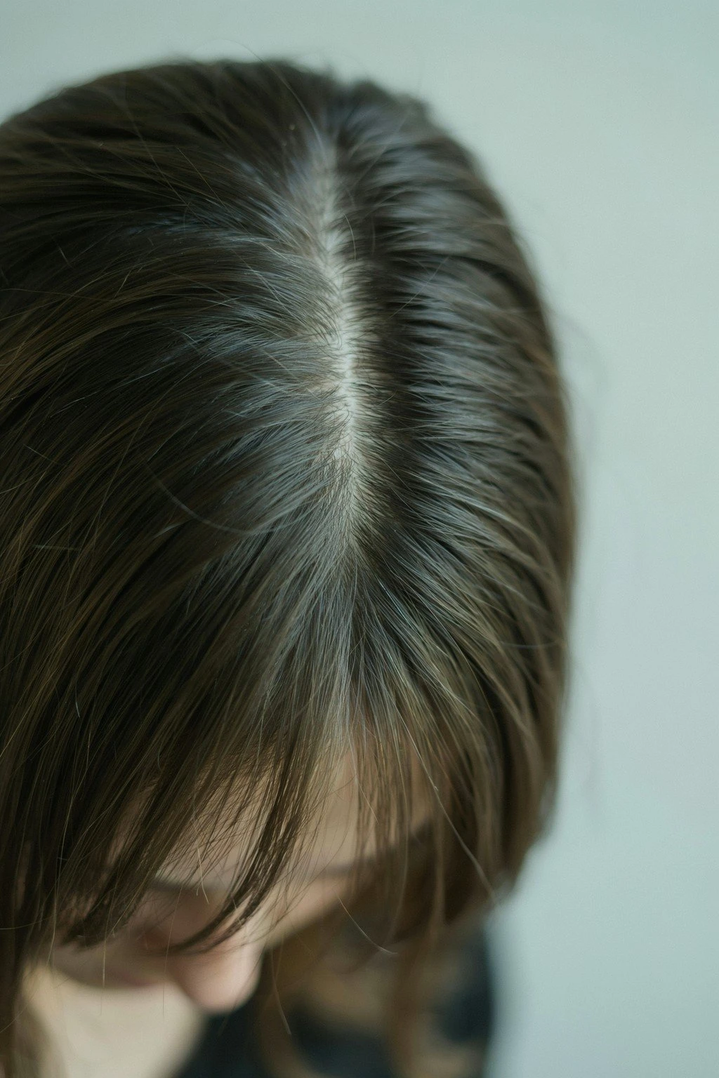 Close crop of a demarcation line where natural grey root meets darker colored length, about three inches of growth