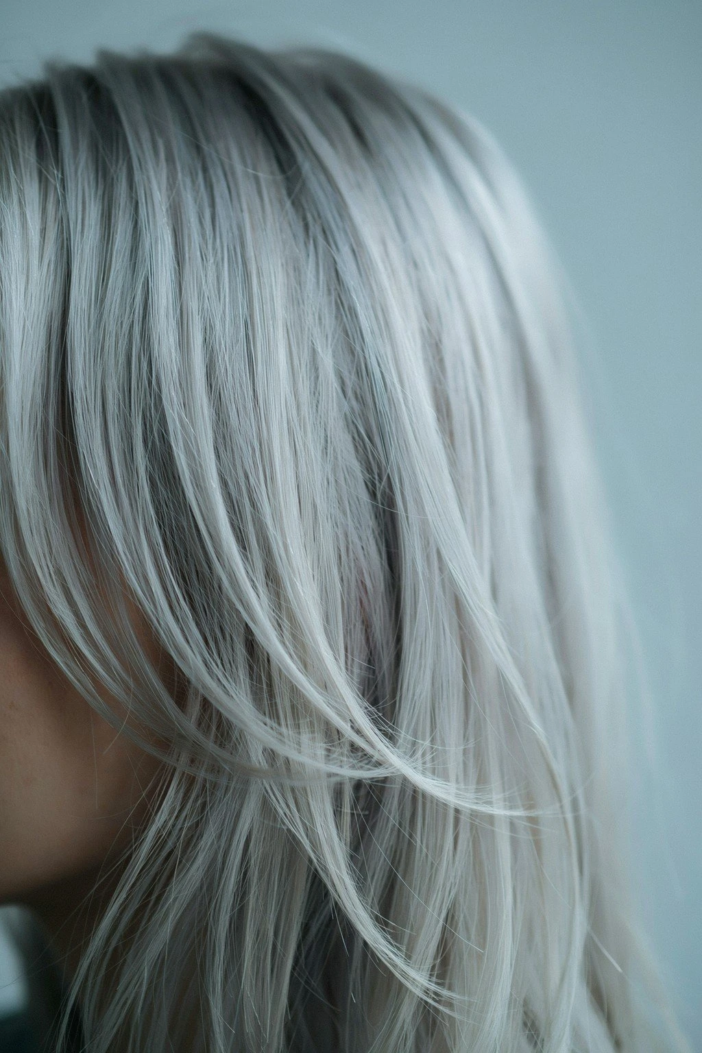 Close crop of fully silver hair showing its coarser, wirier texture and changed shine in natural light