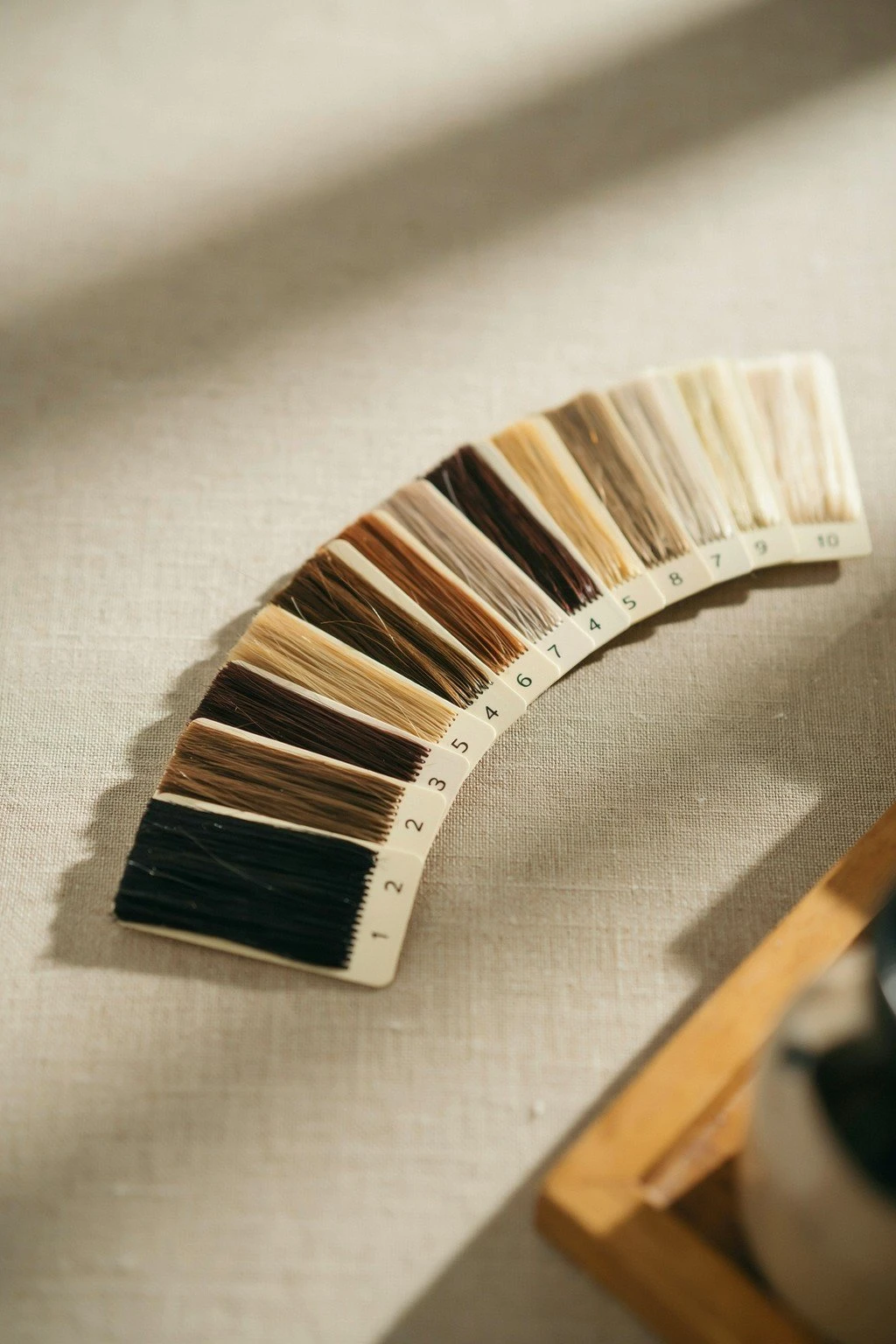 A colorist's ring of level swatch cards fanned from black through lightest blonde against a neutral background