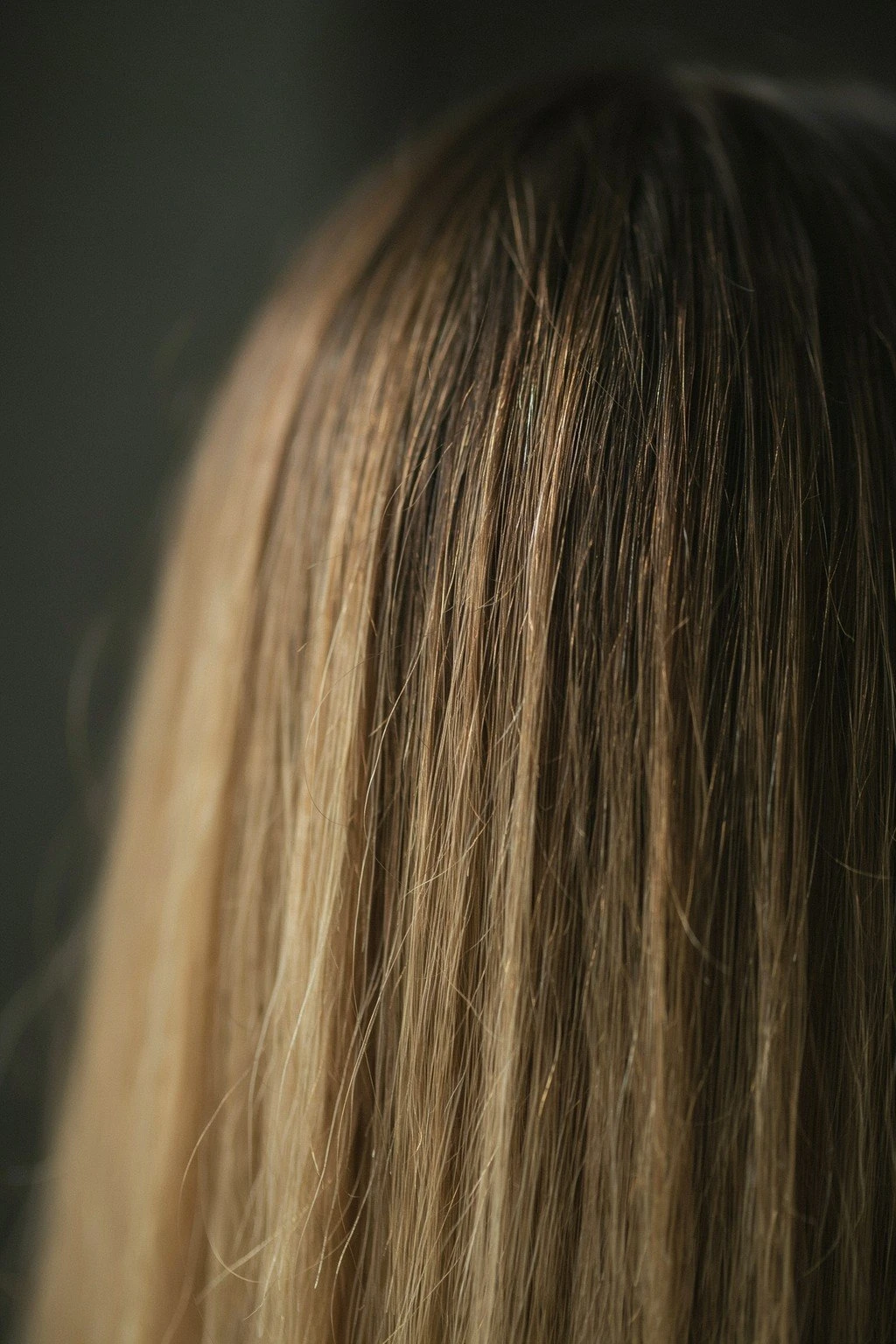 A lifted section of dark brunette hair mid-transition, warm orange-gold depth visible against the untouched base