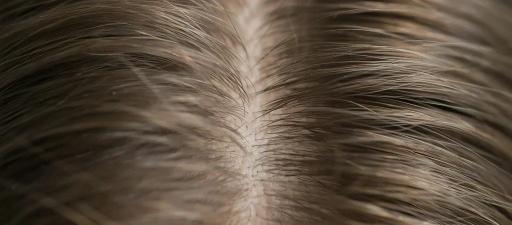 Hair Growth Cycle: How It Actually Works