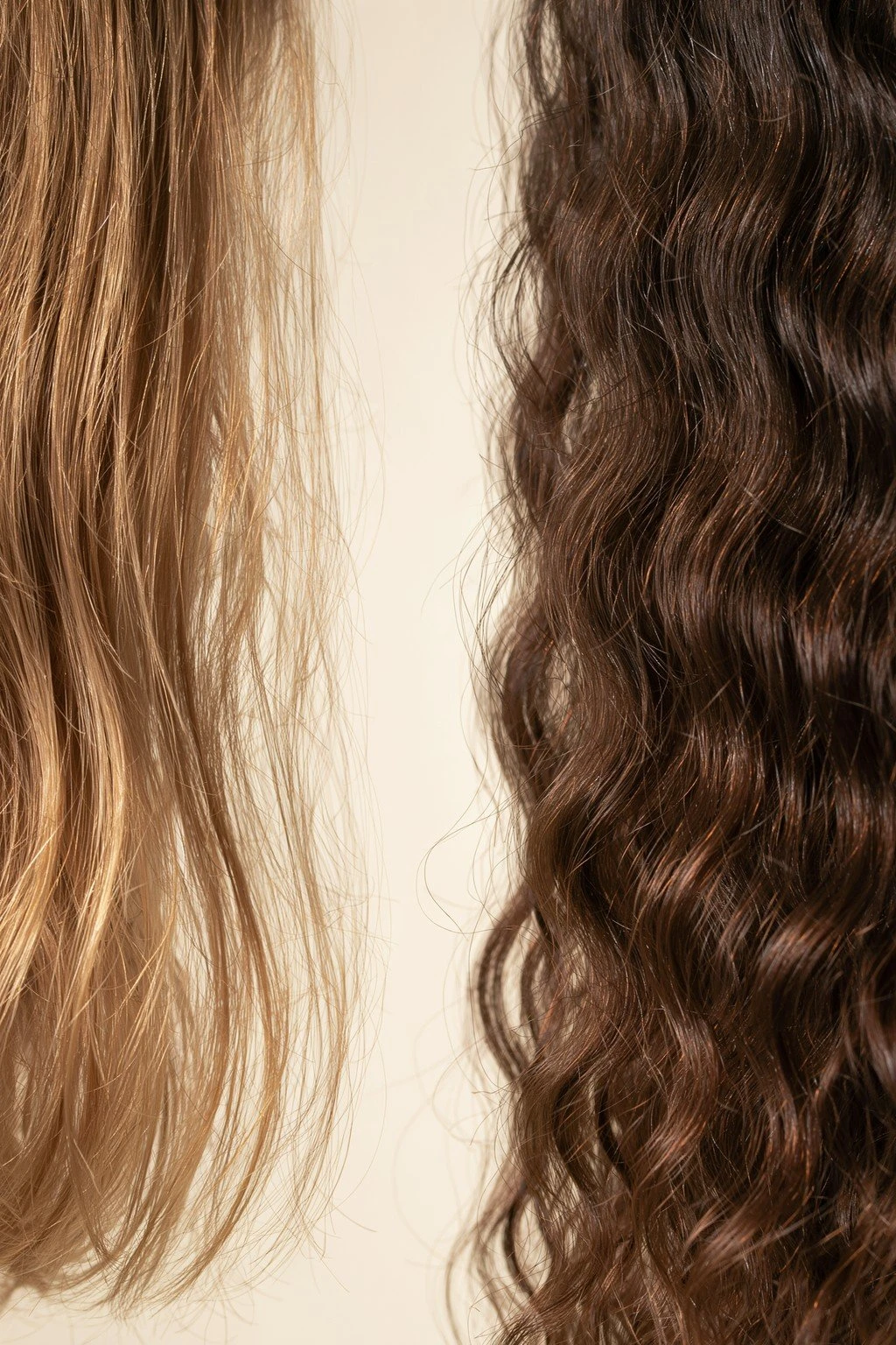 Close-up comparison of fine and thick hair textures