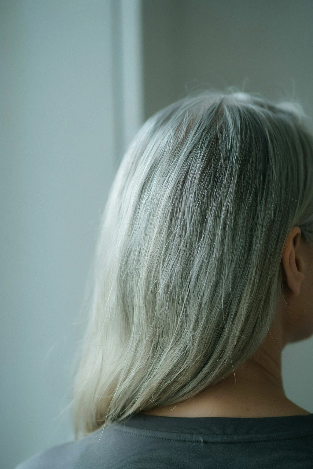 Silver hair styled simply and catching light along its length, the shine clean and the texture visible