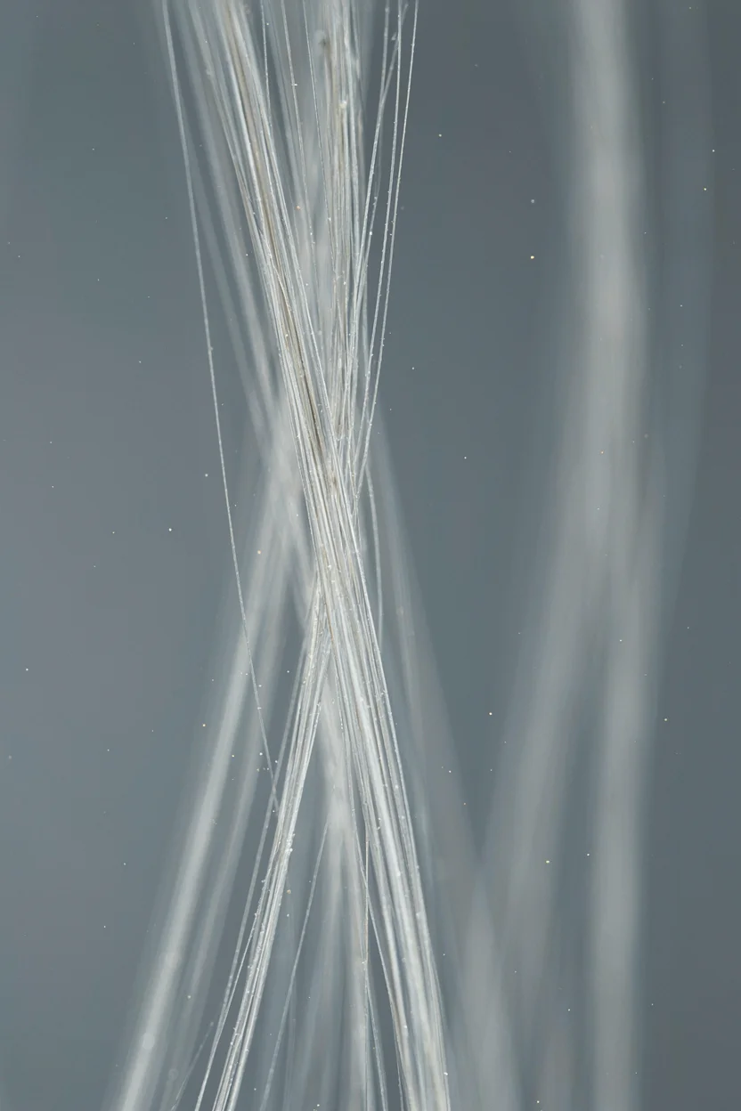 Close-up of silver hair strands showing the transparent